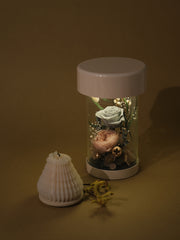 Flower Garden Wireless Night Light