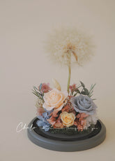 SOLO 大號蒲公英禮盒