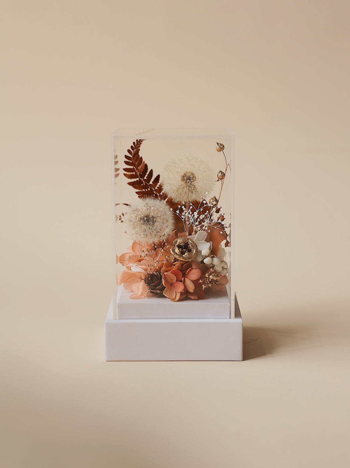 Dandelion Gift Box
